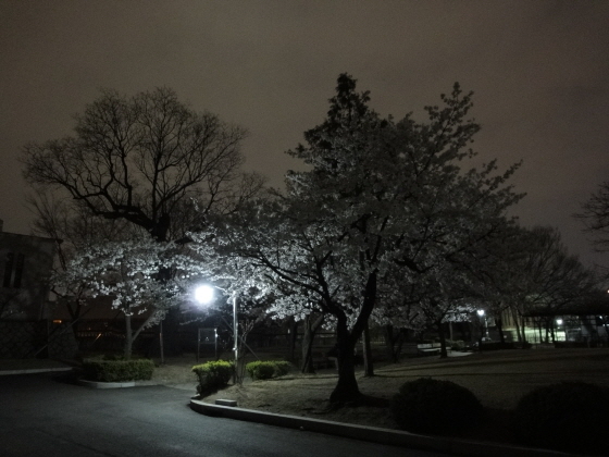 [DSC-WX1] 006.jpg